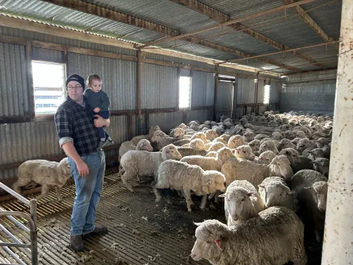 Two generations checking on the sheep