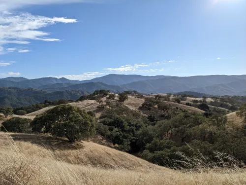 Santa Lucia Conservancy CA_Lauren Svejcar