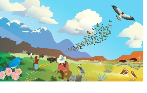 Compost illustration of North American grasslands featuring 27 species of flora and fauna, indigenous land stewardship, youth, and natural resource sciences