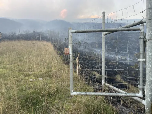 Fire break due to grazing