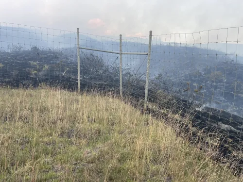 Fire break due to grazing
