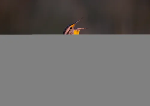 4974