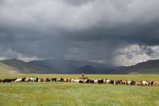 rancher on rangeland