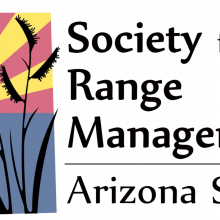 azsrm logo