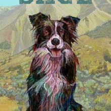 Roaming the Range with Sage cover page