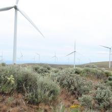 wind turbine on rangeland