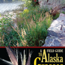 Cover of A Field Guide to Alaska Grasses