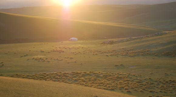 Rangelands in the World