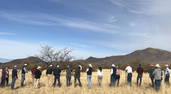Land managers