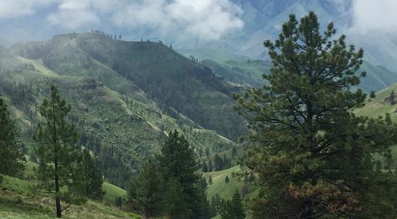 Photo near Snake River