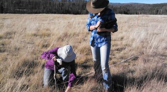 Maintaining and improving rangelands