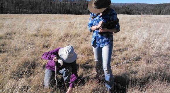 Maintaining and improving rangelands