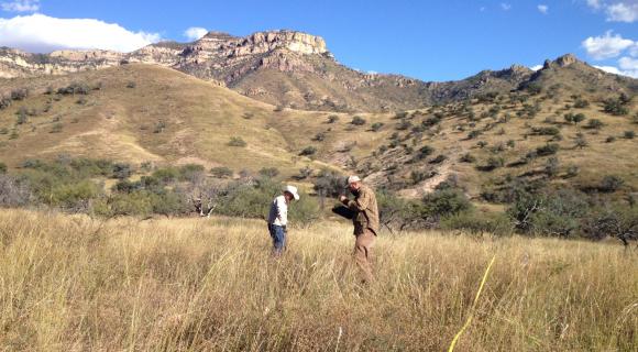 image of rangeland
