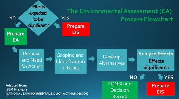 image of Environmental Assessment Process