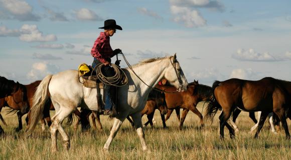 photo of XDiamond Ranch, Arizona