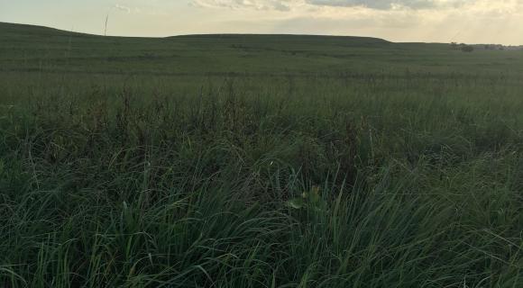 Flint Hills Kansas tallgrass prairie scene