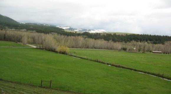 Bozeman meeting image