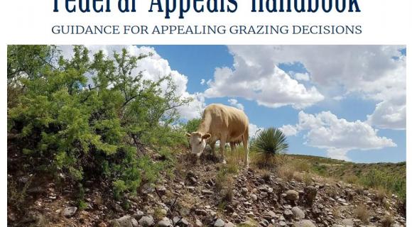 Cover of Federal Appeals Handbook