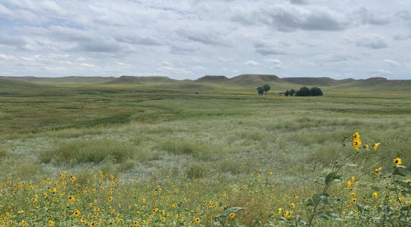 Grassland at Agate Fossil Beds, Nebraska