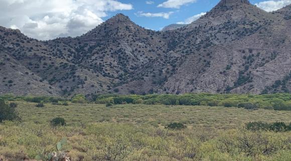 Rangeland and mountains, NM
