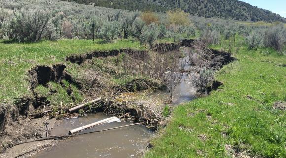 Eroded banks of a stream