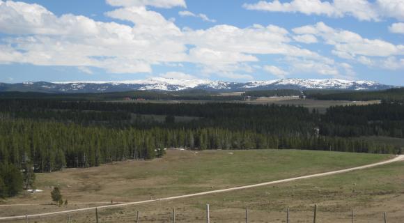 Big Horn mountains, Wyoming.
