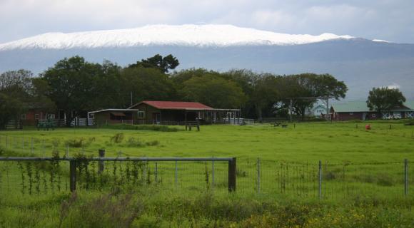 Small ranch house and lands