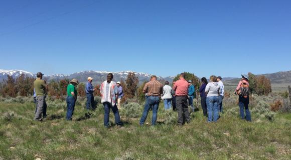 People in a discussion on rangelands