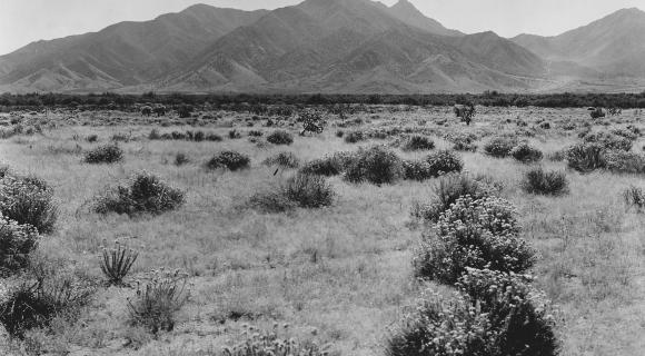 Santa Rita Experimental Range Repeat Photography
