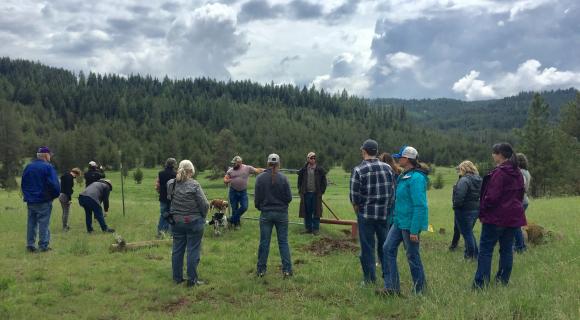 Group of people talking in meadow