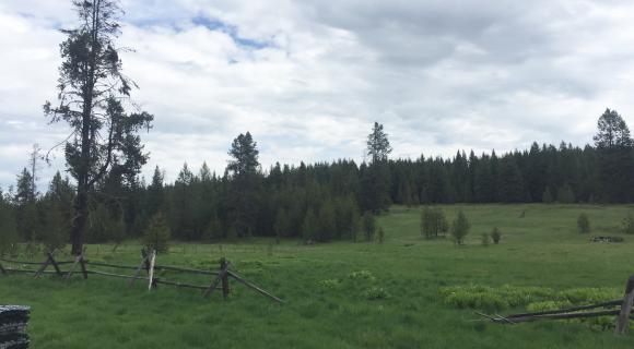 Mountain grassland with wood fence.