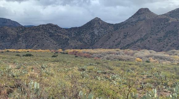 Gila Wilderness, NM
