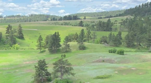 Grassland near Wind Cave National Park - SD