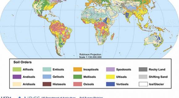 Map of the soil orders of the world