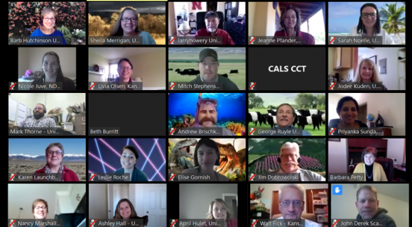Group photo of zoom screen