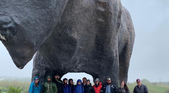 group standing in front of a giant buffalo statue