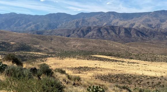 Maintained Grassland Areas
