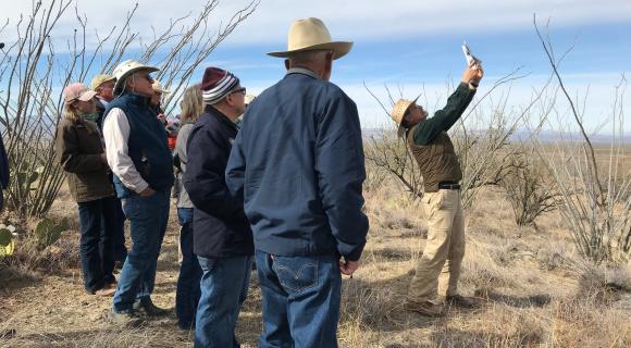 Brush management workshop people learning technology