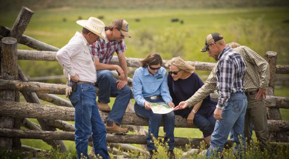 Group of people looking at map